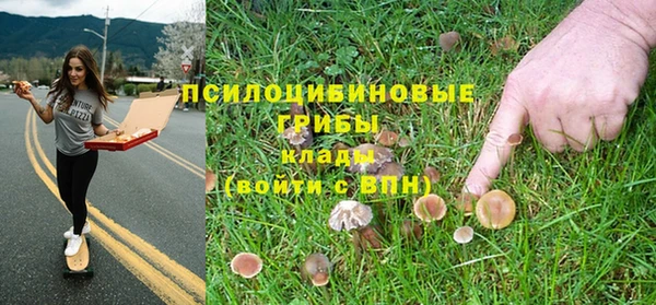 спайс Алексеевка