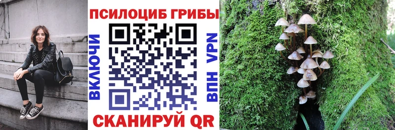 Купить где  Бронницы  Галлюциногенные грибы MAGIC MUSHROOMS 