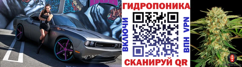 Каннабис ГИДРОПОН  Купить где  Бронницы 